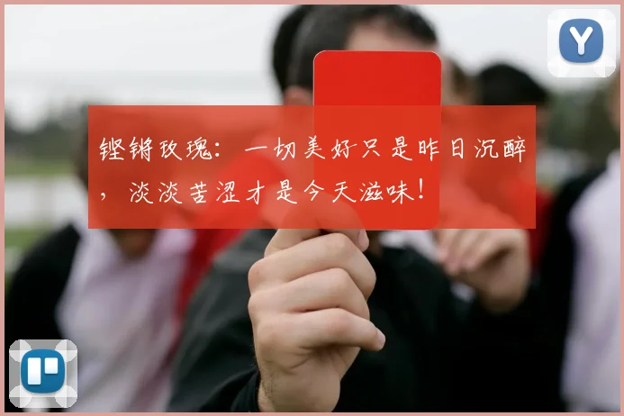 铿锵玫瑰：一切美好只是昨日沉醉，淡淡苦涩才是今天滋味！