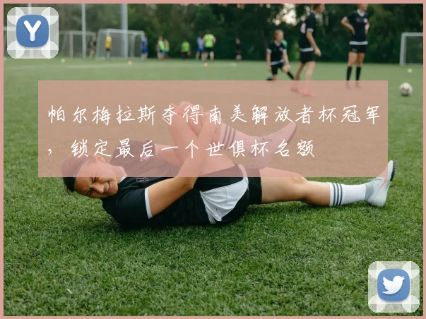 帕尔梅拉斯夺得南美解放者杯冠军，锁定最后一个世俱杯名额