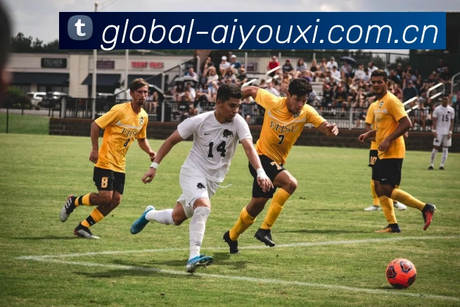 爱游戏体育服务体系