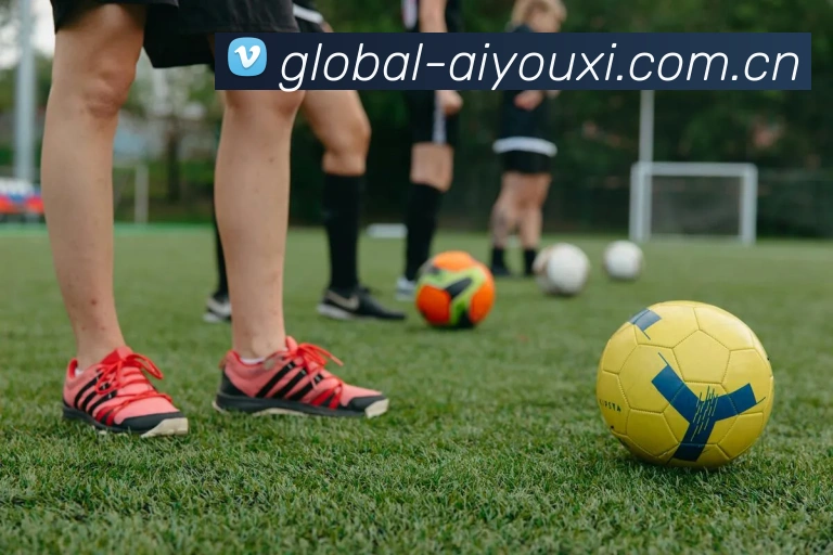 多媒体互动体验